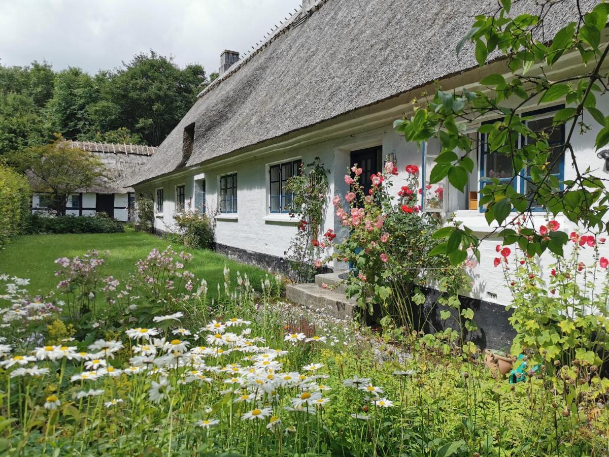 Plantepressen B&B Faaborg Luaran gambar