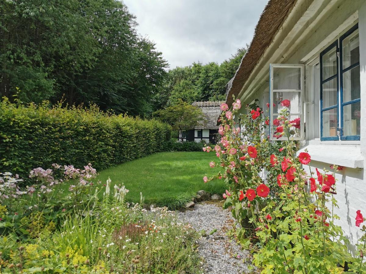 Plantepressen B&B Faaborg Luaran gambar